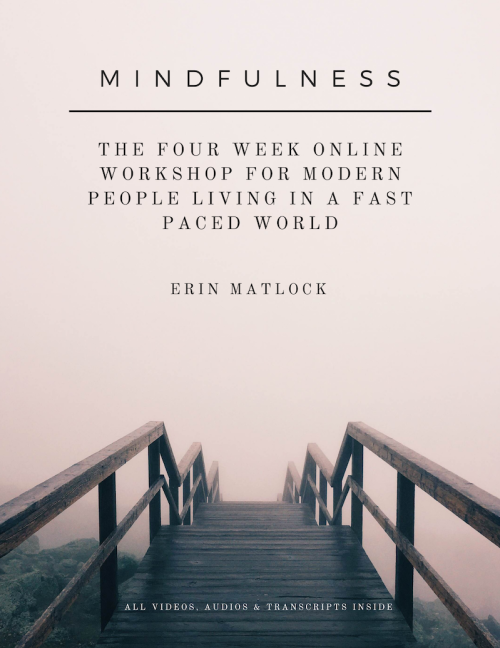 Mindfulness WKSHP Full Course PDF